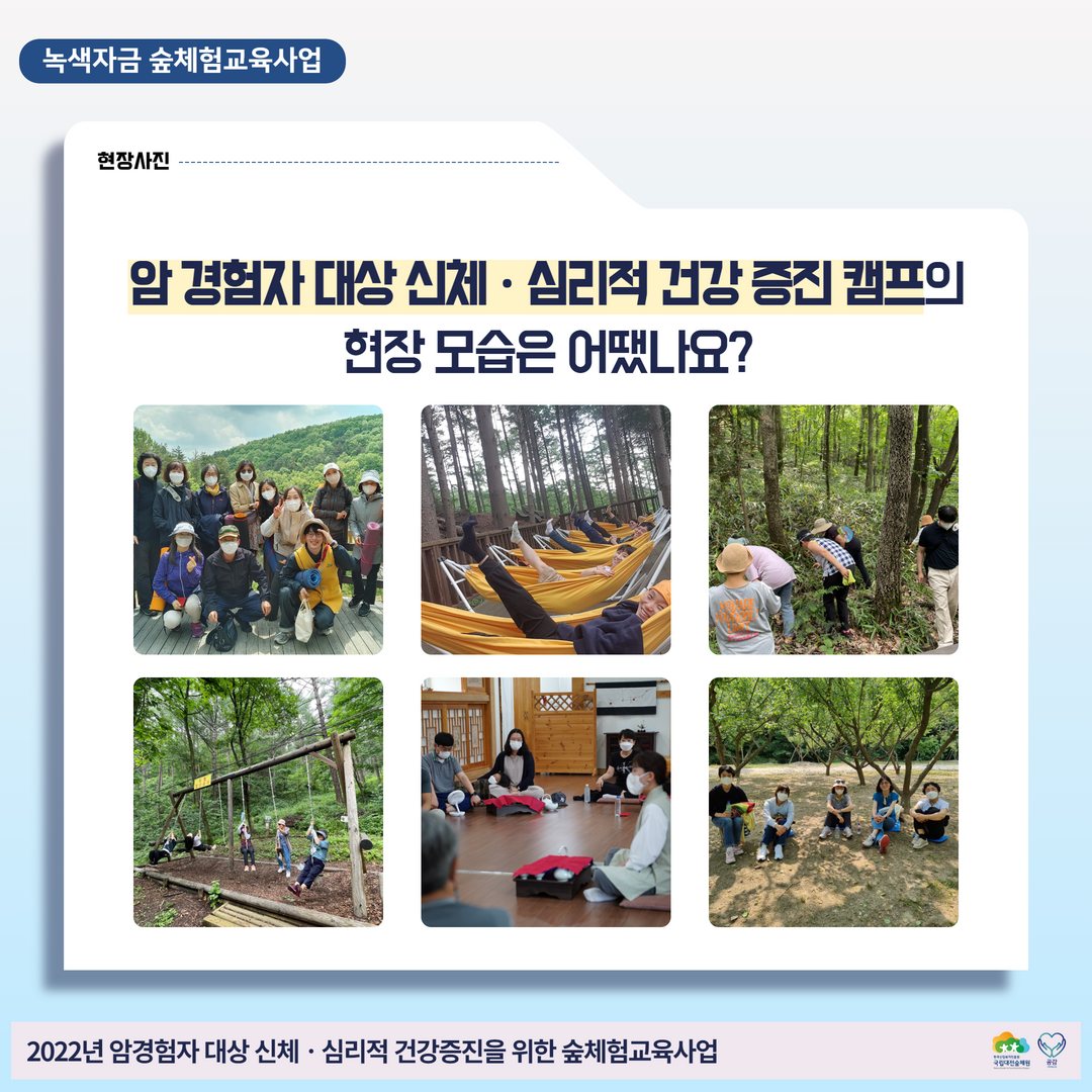 암경험자 산림치유프로그램 관련 이미지